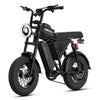 Fat Tire Electric Mountain Bike