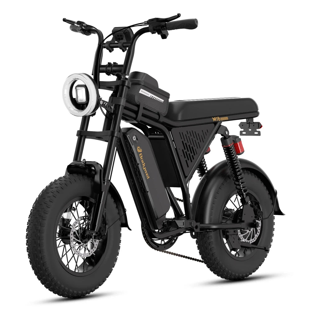 Fat Tire Electric Mountain Bike