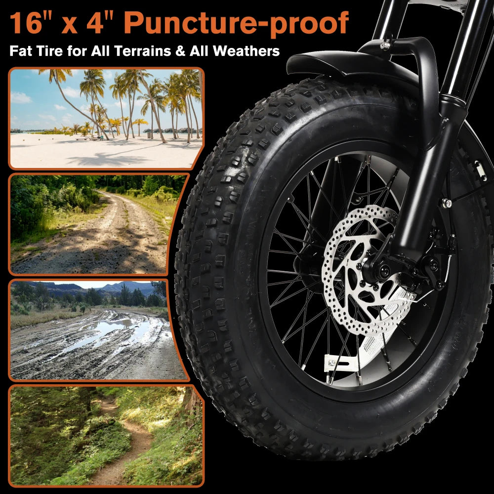 Fat Tire Electric Mountain Bike