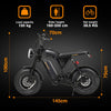 Fat Tire Electric Mountain Bike