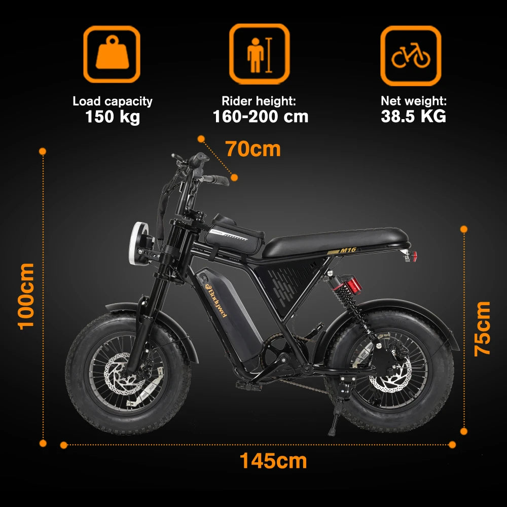 Fat Tire Electric Mountain Bike