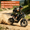 Fat Tire Electric Mountain Bike