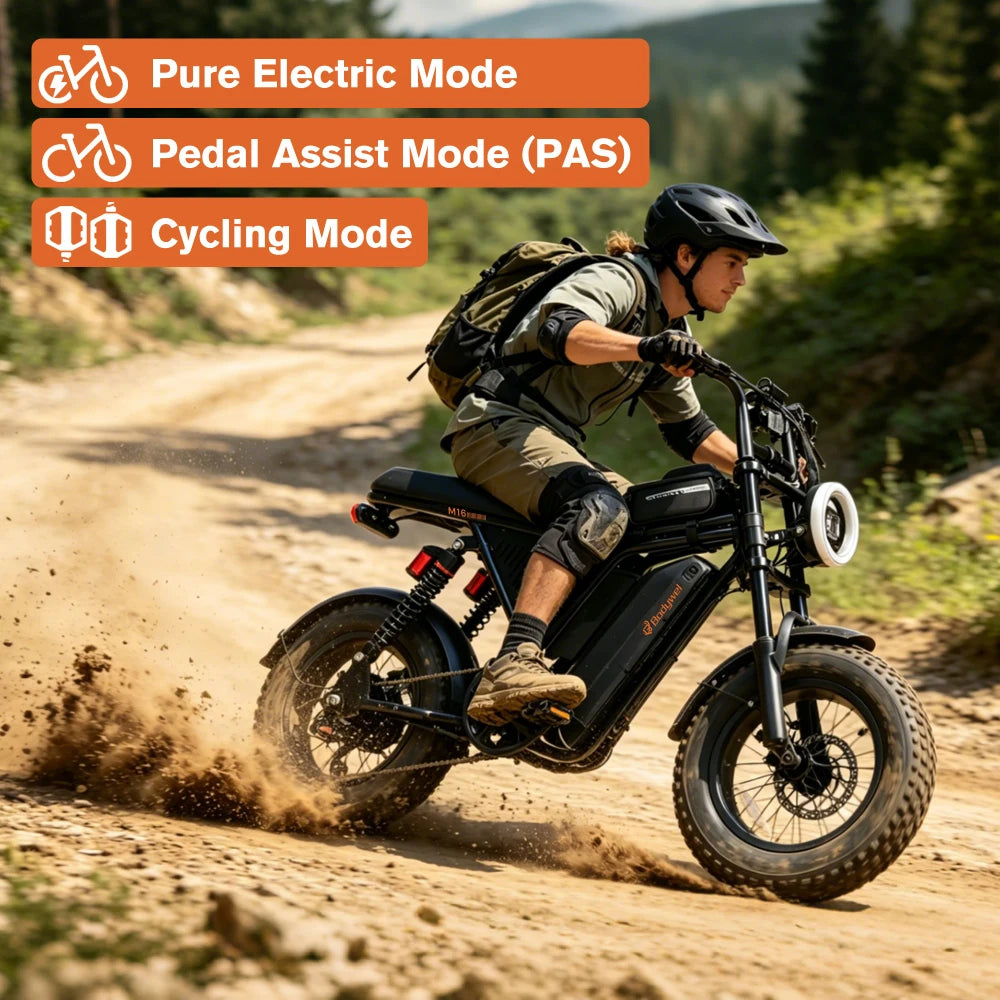 Fat Tire Electric Mountain Bike