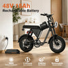 Fat Tire Electric Mountain Bike